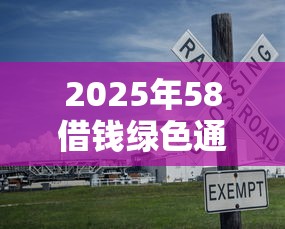2025年58借钱绿色通道下载？看看这5个不看负债的长期网贷口子