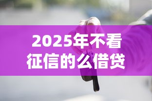 2025年不看征信的么借贷平台：罗列5个平台可以大额贷款