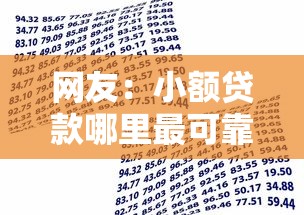 网友：小额贷款哪里最可靠？求介绍几款网贷借款平台好贷