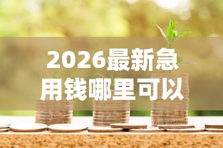 2026最新急用钱哪里可以快速借到，总结十个比较容易贷款的平台！