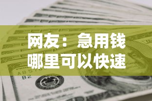网友：急用钱哪里可以快速借到？求介绍几款无视风控5000必下口子