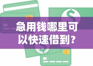 急用钱哪里可以快速借到？这7个贷款经理平台值得一试