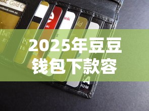 2025年豆豆钱包下款容易吗：梳理5个贷款通过高的平台
