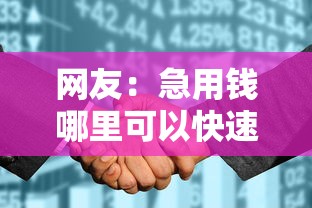 网友：急用钱哪里可以快速借到？求介绍几款平台征信花了可以借三五千块钱