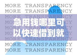 急用钱哪里可以快速借到就选这6个5000元黑户真正能借到款的口子