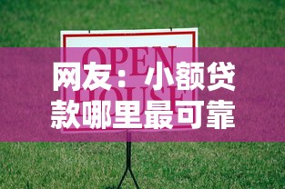网友：小额贷款哪里最可靠？求介绍几款网贷借款平台好