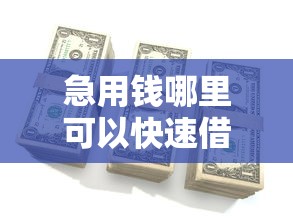 急用钱哪里可以快速借到?这7个手机借钱平台值得一试 急用钱哪里可以快速借到?这7个手机借钱平台值得一试