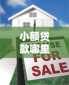 小额贷款哪里最可靠？十大贷款咨询平台推荐