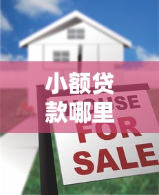 小额贷款哪里最可靠？十大快速贷款不看征信的平台推荐