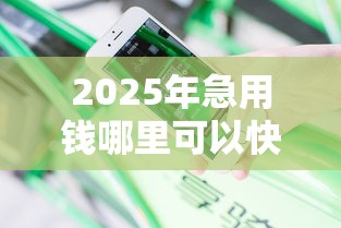 2025年急用钱哪里可以快速借到钱比较安全的平台，分享五个网贷平台举报网站