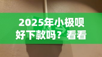 2025年小极呗好下款吗？看看这5个被执行人下款口子