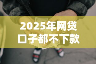2025年网贷口子都不下款了：罗列5个良心贷款平台