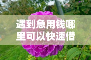 遇到急用钱哪里可以快速借到怎么办？或可尝试这6个2025大花户放水秒下款的口子