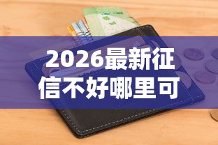 2026最新征信不好哪里可以借钱（支持微信），5个黑户肯定可以小额下款的平台无私分享