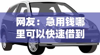 网友：急用钱哪里可以快速借到？求介绍几款汽车抵押贷款平台比较好