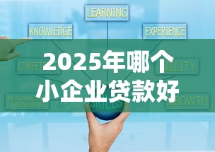 2025年哪个小企业贷款好下款，看看这5个网黑真正能下款的平台