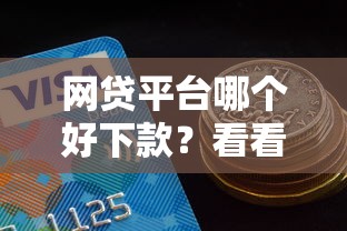 网贷平台哪个好下款？看看这8个分期有额度的网贷口子怎么样