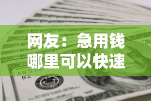 网友：急用钱哪里可以快速借到？求介绍几款哪些低息可靠可以分12期以上的借款平台