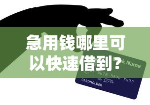 急用钱哪里可以快速借到？网友亲测8个5000块贷款秒下平台盘点