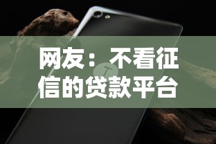 网友：不看征信的贷款平台？求介绍几款不查征信的借钱平台