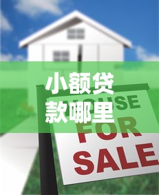 小额贷款哪里最可靠？十大网贷平台额度高推荐