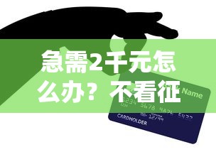 急需2千元怎么办？不看征信的贷款平台试试这6个无门槛平台