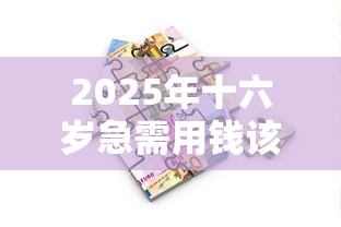2025年十六岁急需用钱该怎么办：整理五个厦门贷款平台