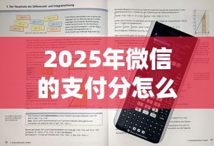 2025年微信的支付分怎么借钱：试试这5个11月独家贷款的口子