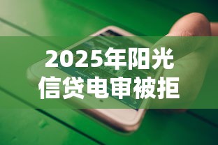 2025年阳光信贷电审被拒？看看这5个手机分期贷款平台