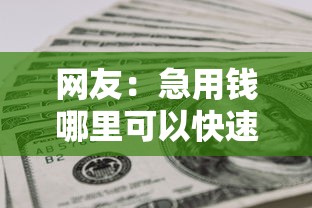 网友：急用钱哪里可以快速借到？求介绍几款3000元无视一切必下款的口子