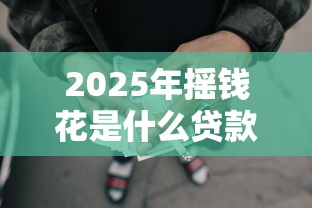 2025年摇钱花是什么贷款：整合5个公积金网贷平台