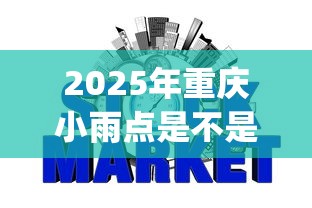 2025年重庆小雨点是不是p2p，公布五个那些网贷平台不上征信
