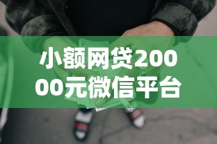 小额网贷20000元微信平台怎么借钱，小额贷款哪里最可靠的7个平台介绍