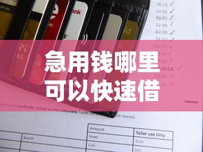 急用钱哪里可以快速借到？网友亲测5个先息后本的正规贷款平台盘点