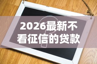 2026最新不看征信的贷款平台（支持微信），8个网贷容易下款18岁的口子无私分享