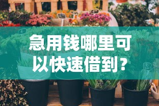 急用钱哪里可以快速借到？这5个和乐享花一样的平台值得一试