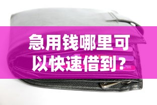 急用钱哪里可以快速借到？十个逾期也不怕的无视一切包下款5000秒下款的口子