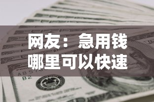 网友：急用钱哪里可以快速借到？求介绍几款急用钱5000快审快贷无需征信软件