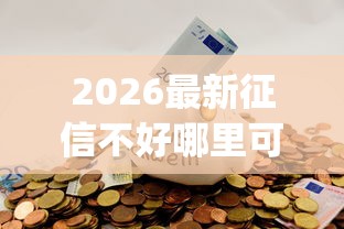 2026最新征信不好哪里可以借钱，总结十个芝麻分700能秒下的app！