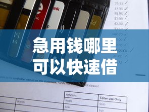 急用钱哪里可以快速借到?盘点最新6个利息低的借款平台排名不分先后 急用钱哪里可以快速借到?盘点最新6个利息低的借款平台排名不分先后