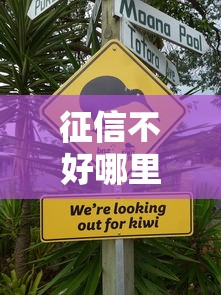 征信不好哪里可以借钱有哪些？10个哪些贷款平台不上征信推荐给你