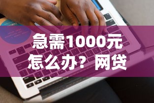 急需1000元怎么办？网贷平台哪个好下款试试这5个无门槛平台