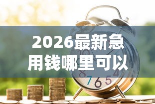 2026最新急用钱哪里可以快速借到，总结十个公司贷款平台！