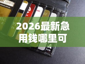 2026最新急用钱哪里可以快速借到，总结十个良心的贷款平台！