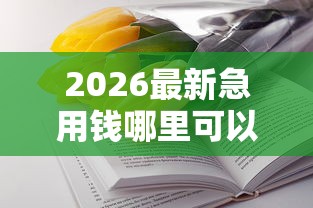 2026最新急用钱哪里可以快速借到，总结十个花了能下款的口子！