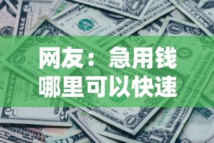 网友：急用钱哪里可以快速借到？求介绍几款征信花还能下款的平台