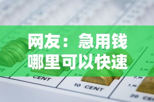 网友：急用钱哪里可以快速借到？求介绍几款征信花了能网贷的软件