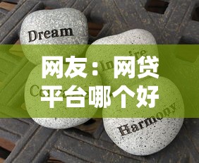 网友：网贷平台哪个好下款？求介绍几款分36期的正规贷款平台