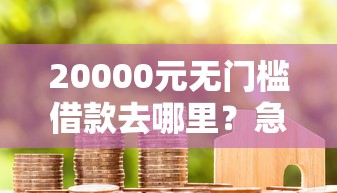 20000元无门槛借款去哪里？急用钱哪里可以快速借到看这6个平台