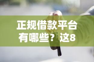 正规借款平台有哪些？这8个黑户贷款口子秒下的值得一试